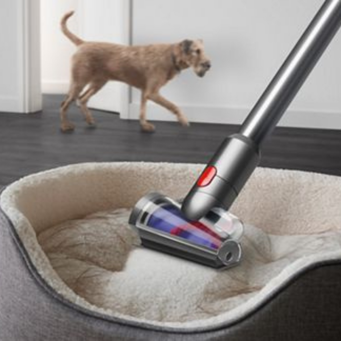 Dyson V15 Detect Extra cordless vacuum