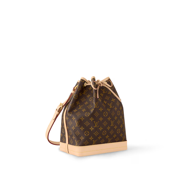 Noé Monogram canvas handbag